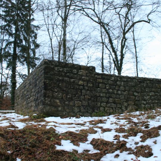 Ruine Böbikon