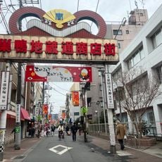 Sugamo Jizo Dori Shopping Street