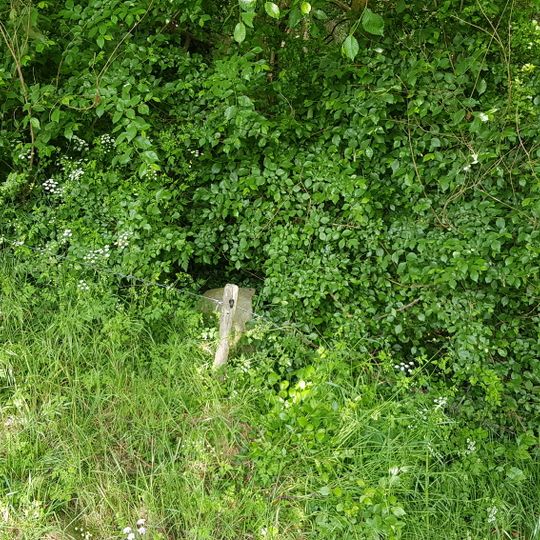 Belgien-Niederlande Grenzstein Nr. 71a