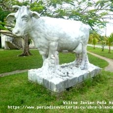 Ubre Blanca