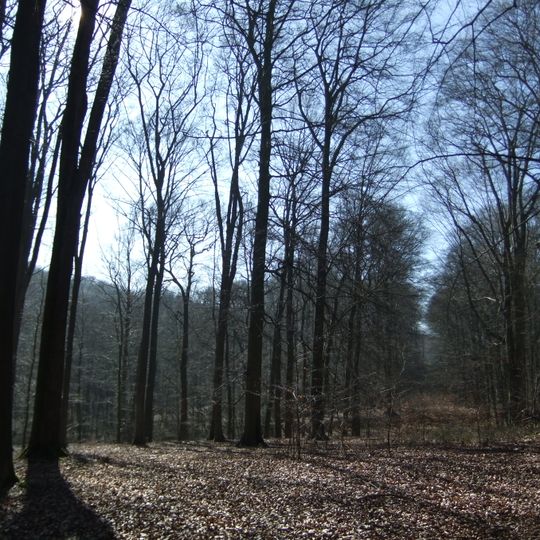 Jammertal