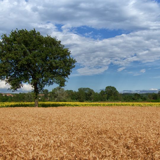 Riserva naturale speciale del Torrente Orba