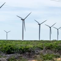 Municipio Los Taques