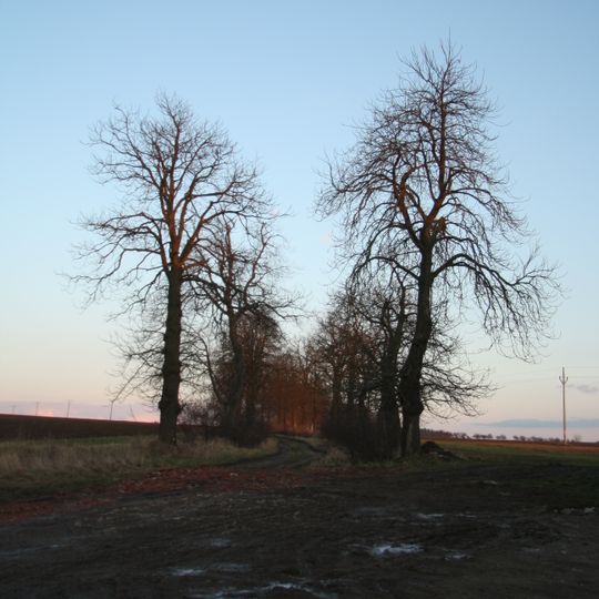 Čtyři aleje kolem Velkopolského dvora - Jihovýchodní alej