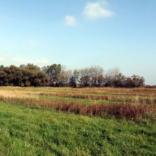 Louky u rybníka Proudnice