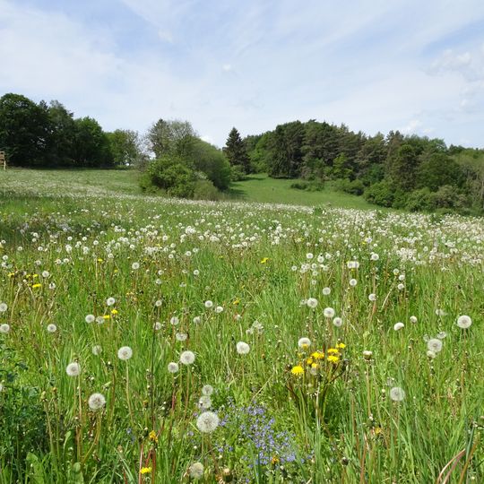 Kalkmagerrasen zwischen Morschen und Sontra