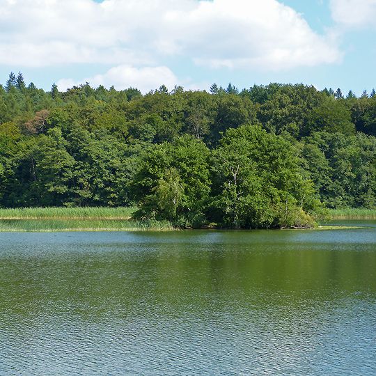 Ruppiner Wald- und Seengebiet