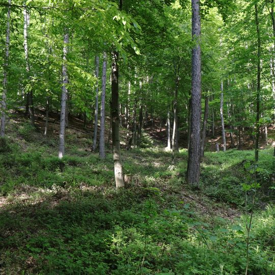 Kupferschiefer-Bergbau am Rothen Rain NE von Sailauf