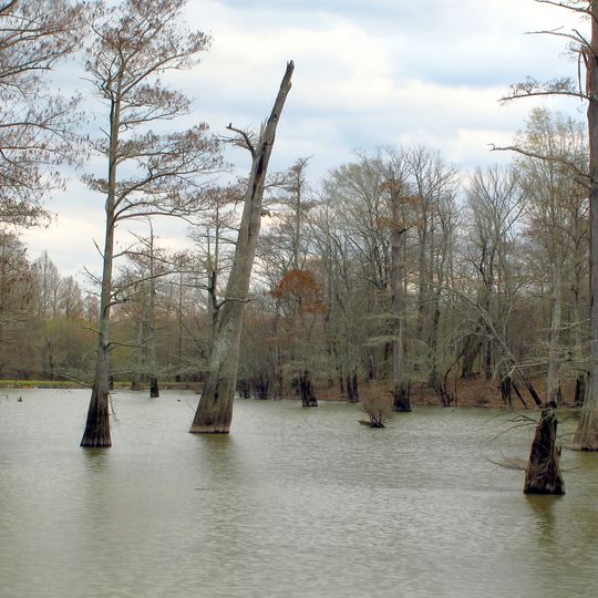 Tallahatchie National Wildlife Refuge