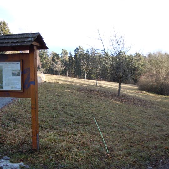 Magerwiese am Luise-Wetzel-Weg