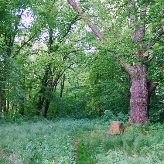 Castle Nowym Kościele