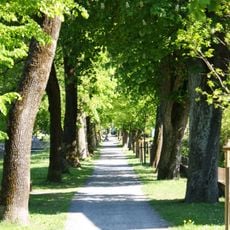 Natural monument "Schillerallee"