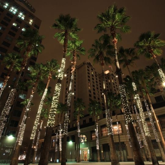 Chinatown in San Jose
