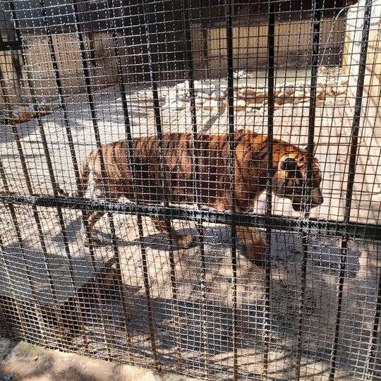 حديقة الحيوانات