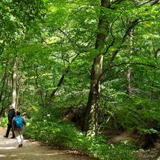 Cuha-völgyi pihenőpark és erdei tanösvény