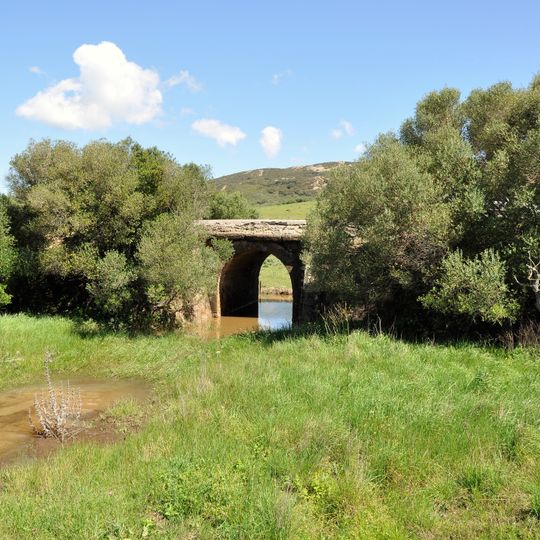 Acebuchales de la Campiña Sur de Cádiz