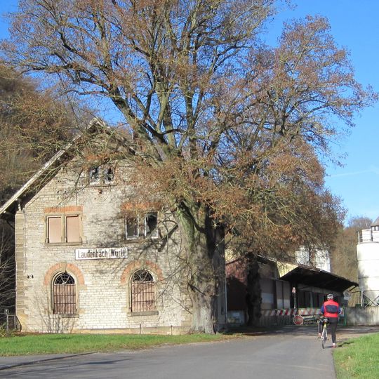 Sommerlinden vor Bahnhofsgebäude