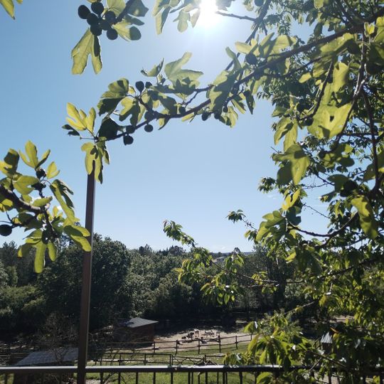 Parc animalier des Gorges de l'Ardèche