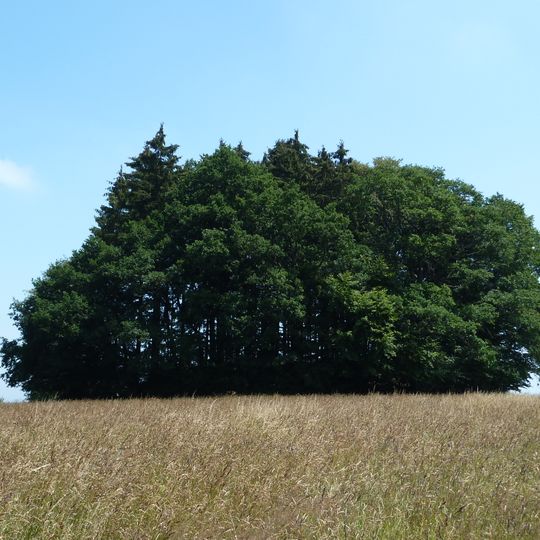 Tumulus de Hochtumsknopf