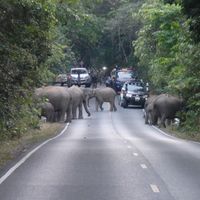 Prowincja Nakhon Nayok