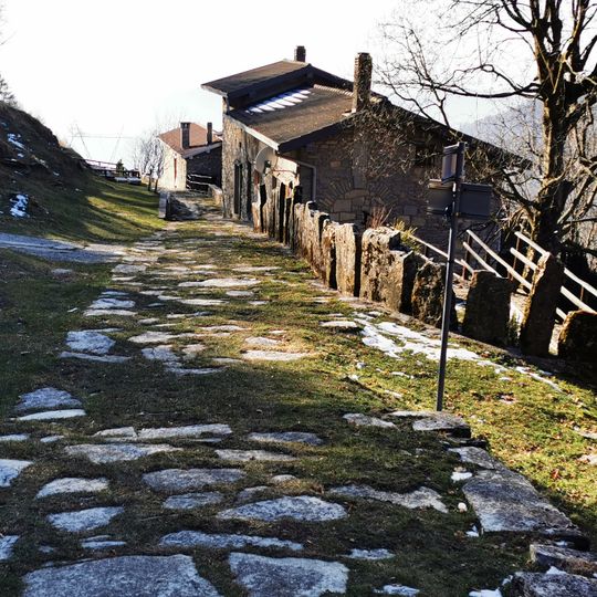 Monti Albero del Cucco