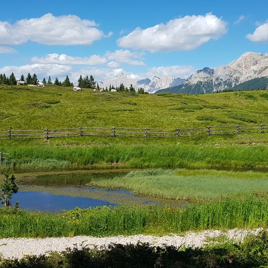Torbiere del Lavaze'