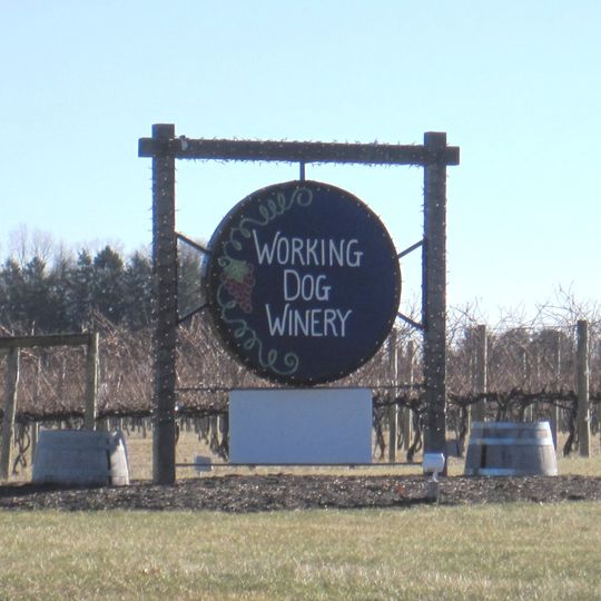 Silver Decoy Winery