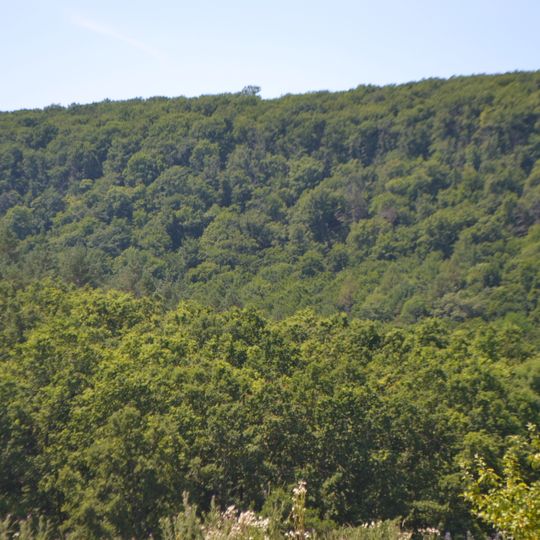 Коцюбинчики