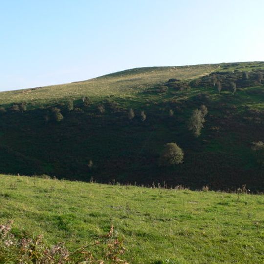Mynydd Mawr