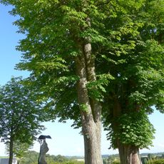 Zwei Rosskastanienbäume beim Schloss Tollet