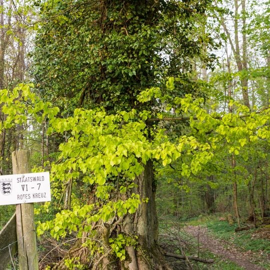 Jagsttal bei Schöntal und Klosterwald