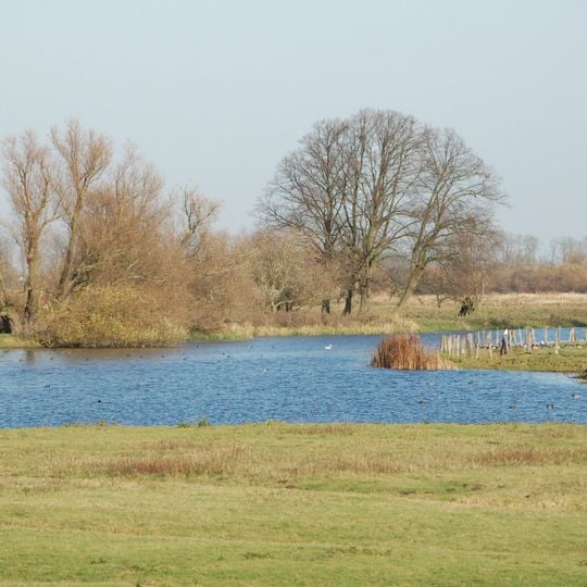 Haseldorfer Binnenelbe mit Elbvorland