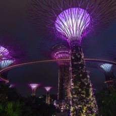 Supertree Grove