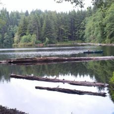 Clatsop State Forest