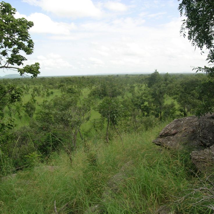 Parco Nazionale della Pendjari