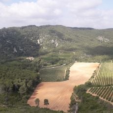 Turó de la Picarola