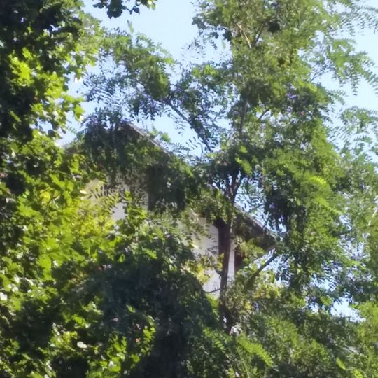 Vila a záhrada, vila