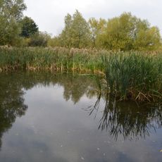 Stotfold Mill Meadows