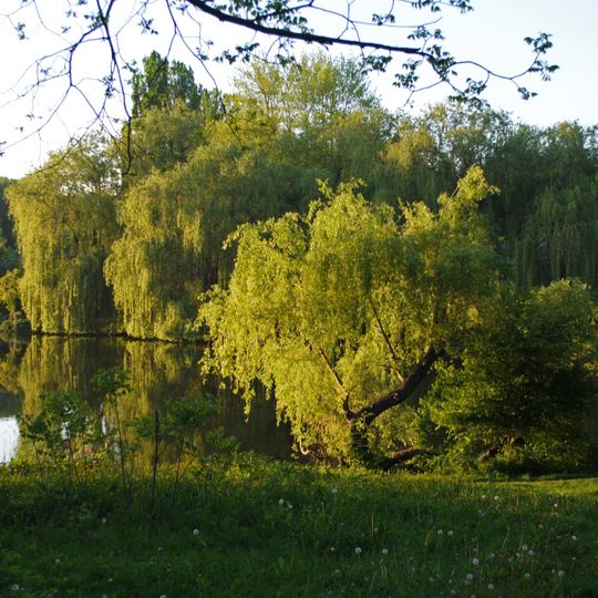 Dendropark "Podillya"