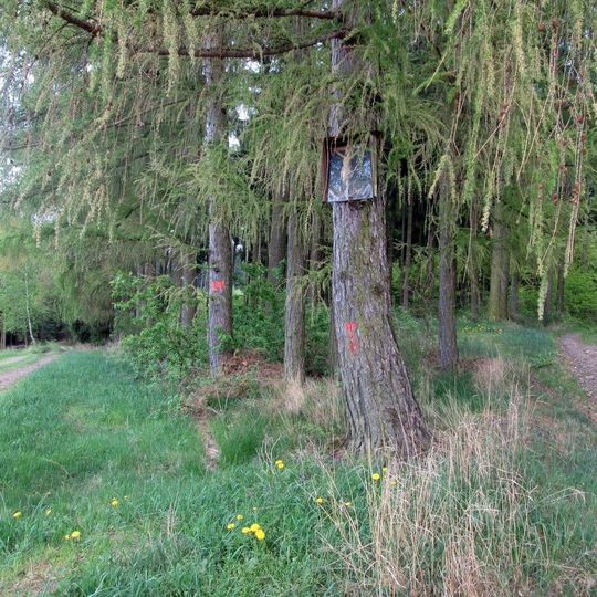 Obrázek východně od Pečetína