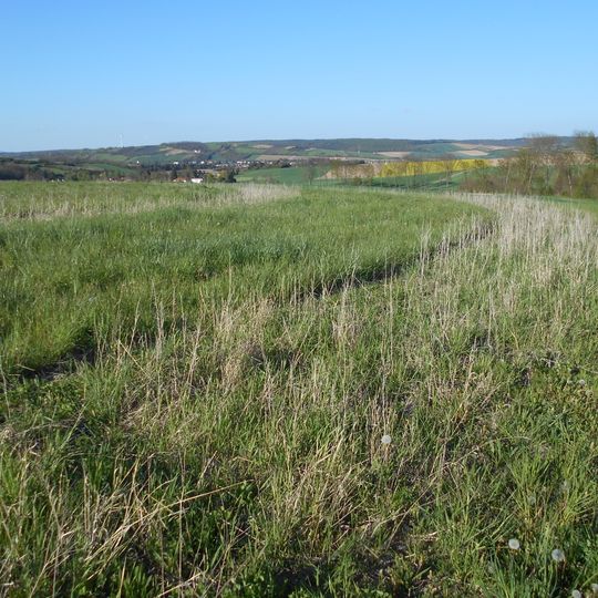 Kreisgrabenanlage Puch