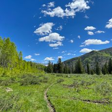 Routt National Forest