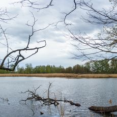 South bank zone Neumühlteich north of Schildau
