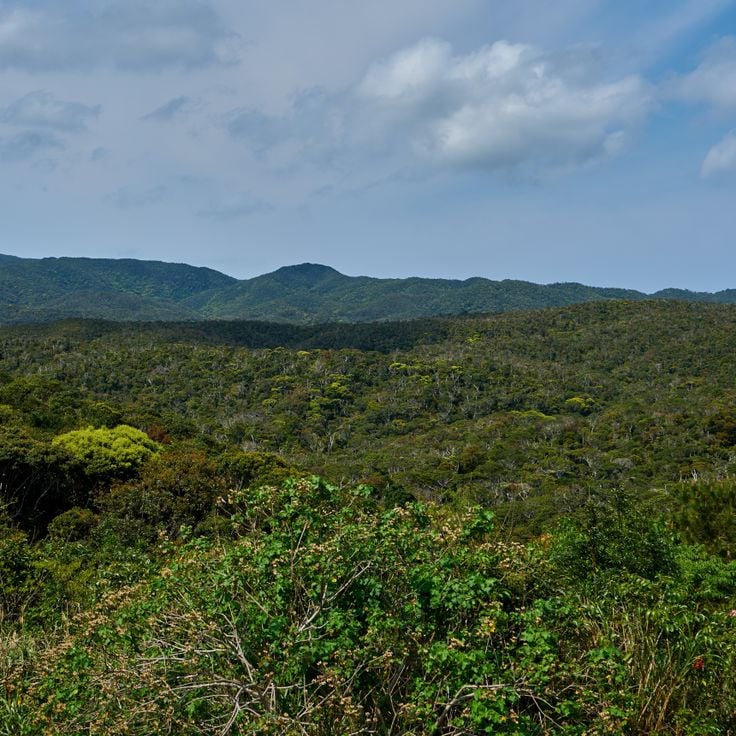 Yanbaru National Park