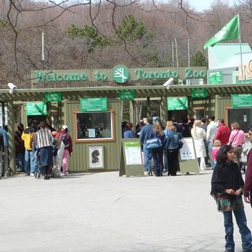 Atracciones para niños en Toronto: zoológico, centro de ciencias, parques