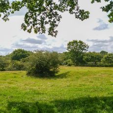 Idstedtweger Geestlandschaft