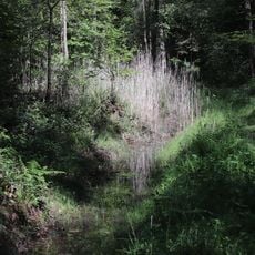 LSG Unter- und Oberhübnerwald in der Gemarkung Stockstadt