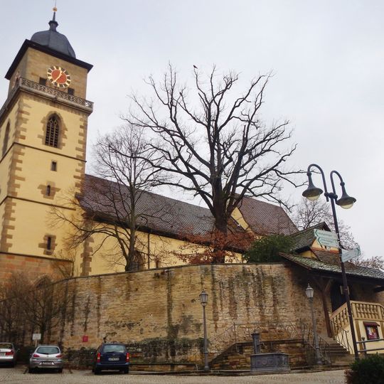 1 Stieleiche "Luthereiche"