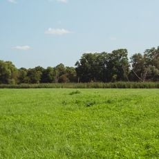 NSG 'Saaraue nordwestlich Wadgassen'