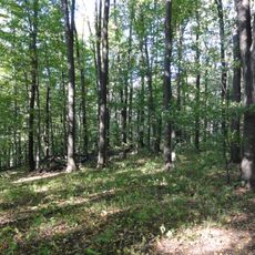 Nature reserve Kopce